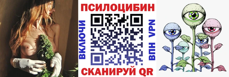 где купить наркоту  Щучье  Псилоцибиновые грибы Cubensis 