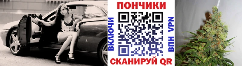 Бошки Шишки планчик Щучье